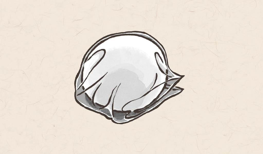 4.寝かし（熟成）