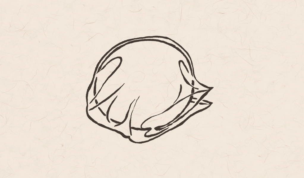 4.寝かし（熟成）